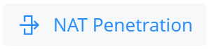 Grandstream NAT Penetration - CASTelecom
